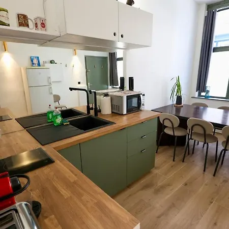 Exceptional Double House With Jacuzzi Villa Lille